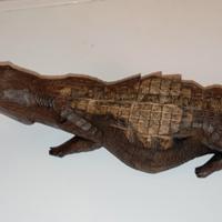 Coccodrillo Africano