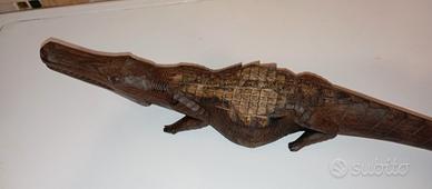 Coccodrillo Africano