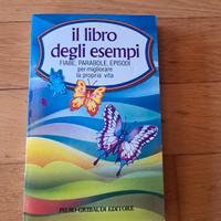 il libro degli esempi