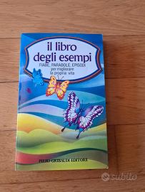 il libro degli esempi