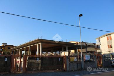 CASA INDIPENDENTE A SANTA MARIA DEL CEDRO