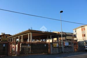 CASA INDIPENDENTE A SANTA MARIA DEL CEDRO