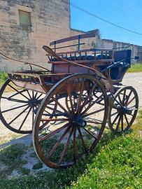 carrozza spider 