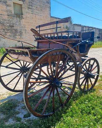 carrozza spider 