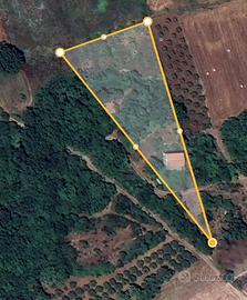 Villetta a schiera da finire