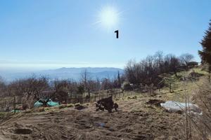 Terreni edificabili a Colle Brianza