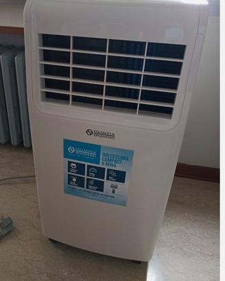 Climatizzatore portatile
