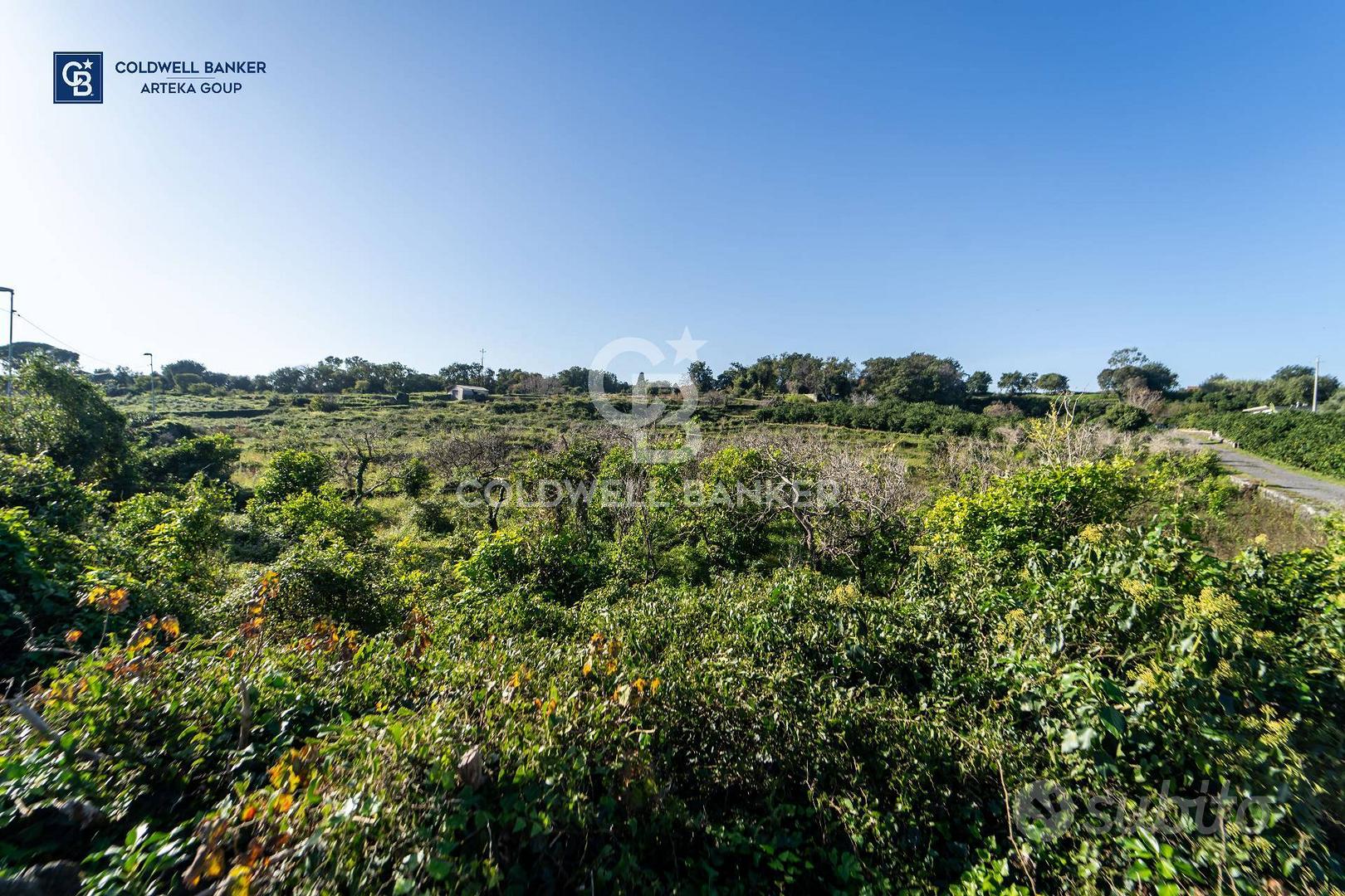 Terreno agricolo - Acireale - Vista 3