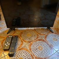 TV Telesystem 23 pollici