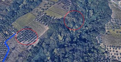 Terreno di 8800 m² a Ortona
