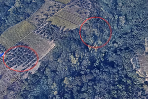 Terreno di 8800 m² a Ortona