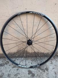 cerchi bicicletta