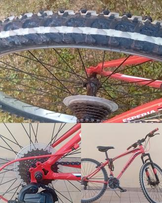 bicicletta 