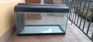 Acquario per pesci in vetro