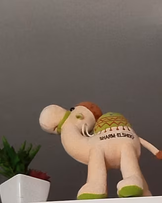Peluche cammello souvenir Sharm El Sheikh