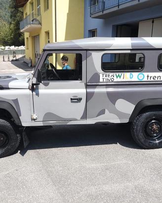 Defender
