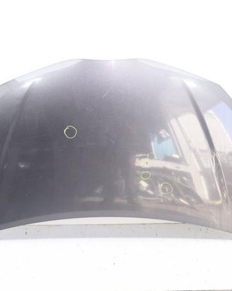 COFANO ANTERIORE TOYOTA Yaris Serie 533010D130 (11