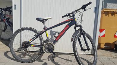 bicicletta bambino