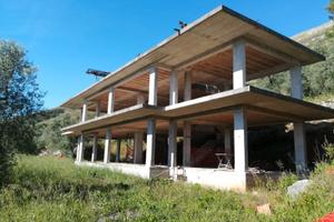 Rustico con piccolo uliveto