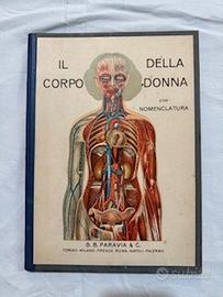 Libro IL CORPO DELLA DONNA CON NOMENCLATURA