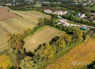 Terreno agricolo con bosco