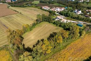 Terreno agricolo con bosco
