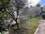 Immagine 18