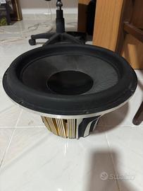 Subwoofer shark 38