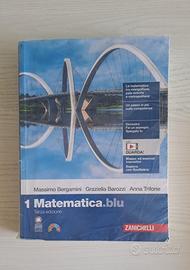 Matematica.blu libro di testo liceo