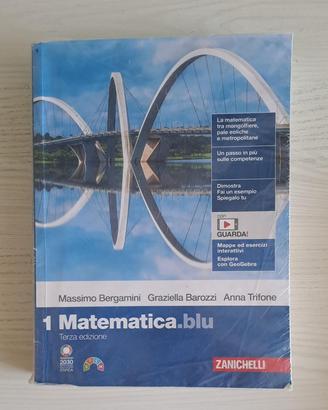 Matematica.blu libro di testo liceo