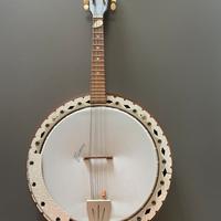 Banjo Framus 8 corde