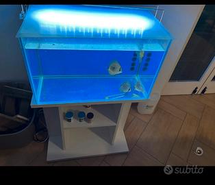 Acquario mobiletto e lampada