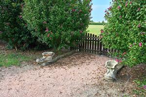 Ampio parco per eventi e feste