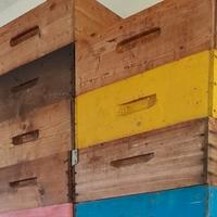 Melario per apicoltura 