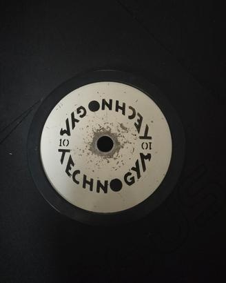 disci tecnogym 100 kg