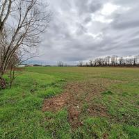 RGE 266/2023 Trib Pavia