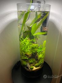 Acquarium