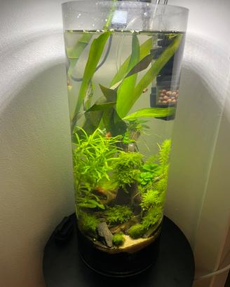 Acquarium