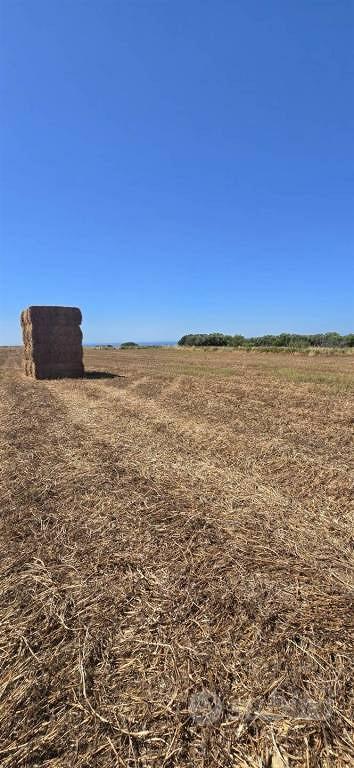 Terreno di 20000 m² a Tarquinia - Vista 2