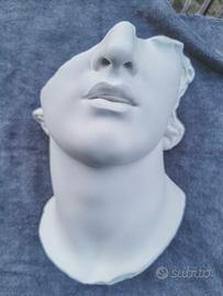 Scultura classica Testa Colossale di Giovane H22.5