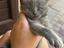 Immagine 2