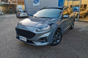 Ford Kuga 1.5 EcoBlue 120 CV aut. 2WD ST-Line