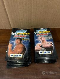15 bustine sigillate carte WWE Animotion PRENOTATE