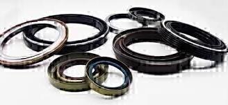 BMW ANELLO DI TENUTA PARAOLIO