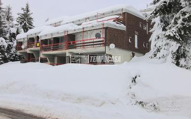 MONOLOCALE CON POSTO AUTO!