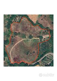 Terreno agricolo
