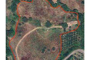 Terreno agricolo