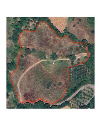 Terreno agricolo