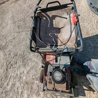 aspira foglie professionale 
