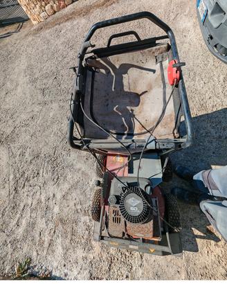 aspira foglie professionale 